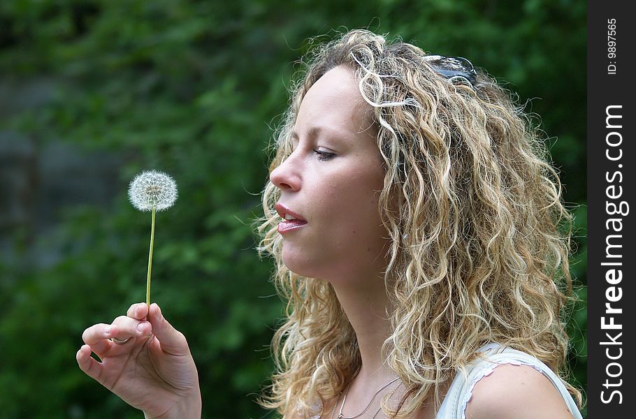 Curly girl starting to blow dandelion seed. Curly girl starting to blow dandelion seed