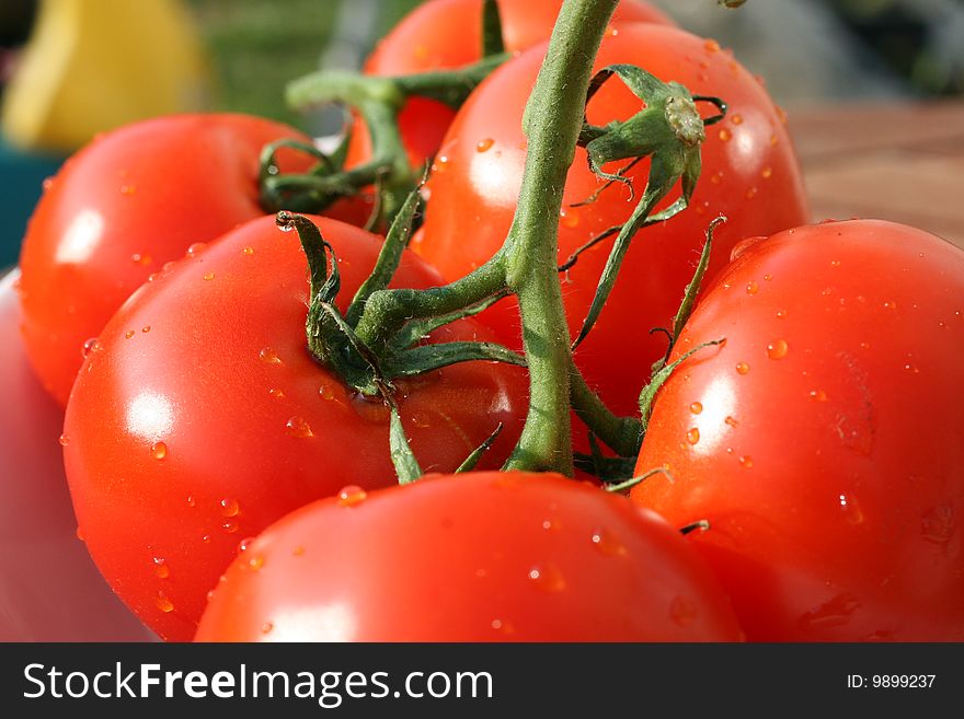 Every tomato is different, which means they are not from the food factory, locally picked from the farmer. Every tomato is different, which means they are not from the food factory, locally picked from the farmer
