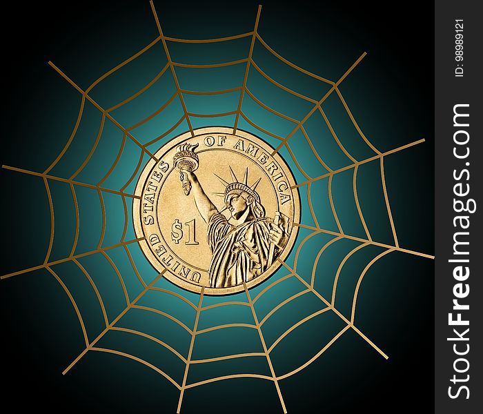 Spider Web, Circle, Invertebrate, Line