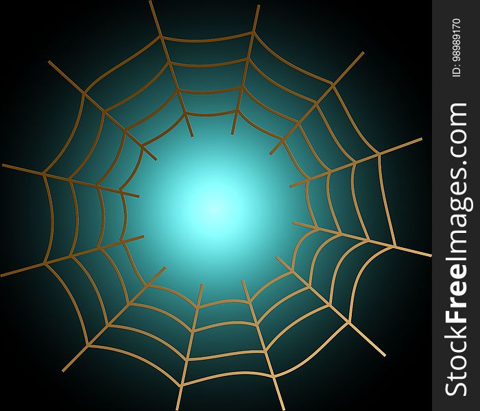Spider Web, Light, Symmetry, Line