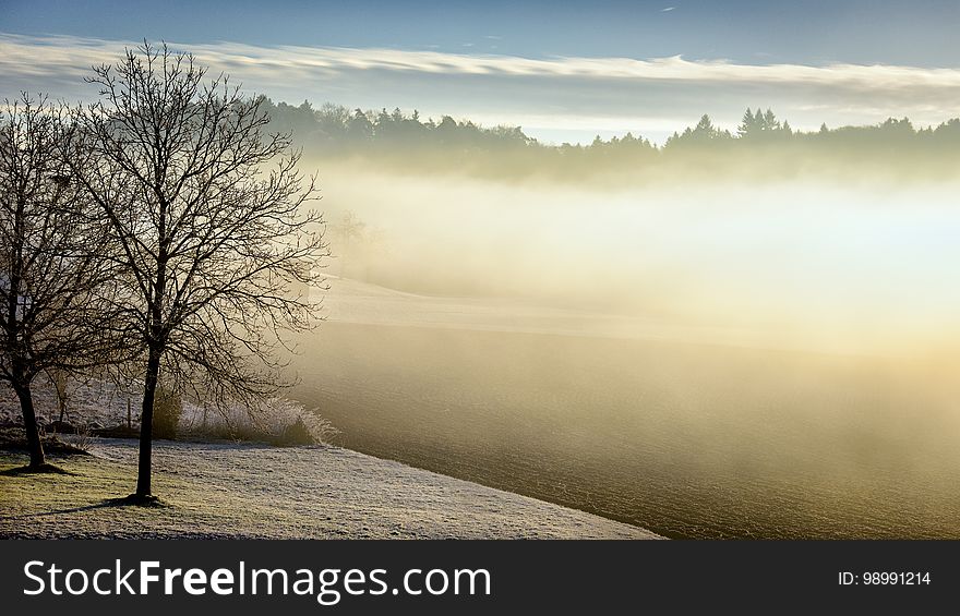 Fog, Sky, Mist, Morning