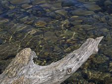 Log, Water And Rocks Royalty Free Stock Photos Log, Water And Rocks Royalty Free Stock Photos