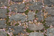Paving Stones Stock Images Paving Stones Stock Images