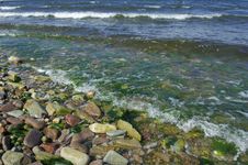 Pebbled Shore Royalty Free Stock Photos Pebbled Shore Royalty Free Stock Photos