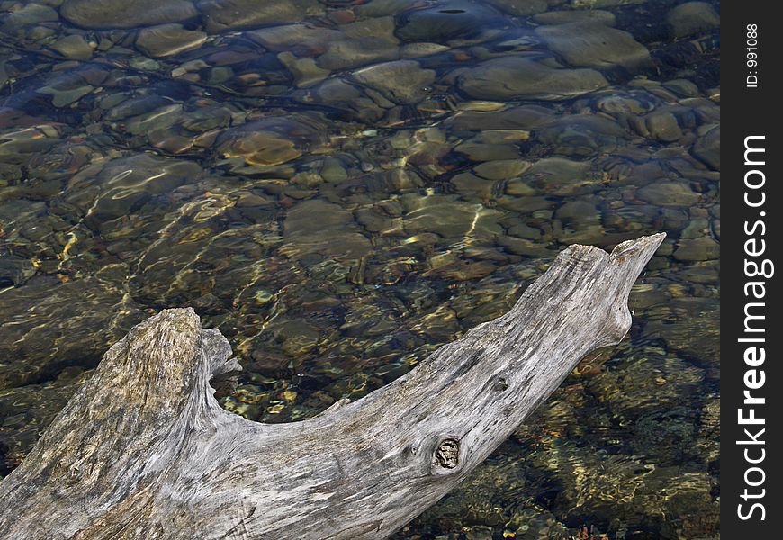 This image of the log (driftwood) and the water with the rocks on the bottom visible was taken in western MT. This image of the log (driftwood) and the water with the rocks on the bottom visible was taken in western MT.