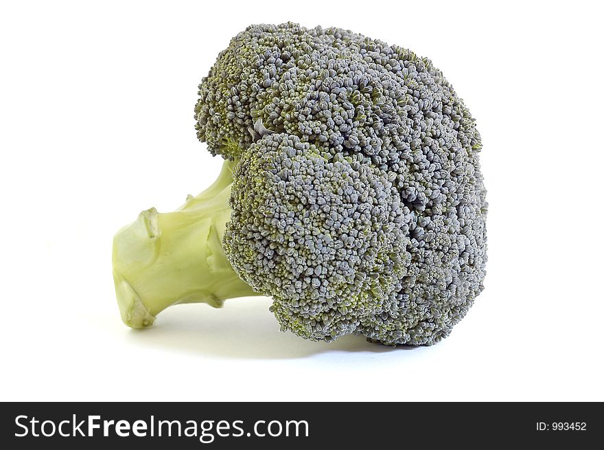 A nice head of broccoli against white. A nice head of broccoli against white