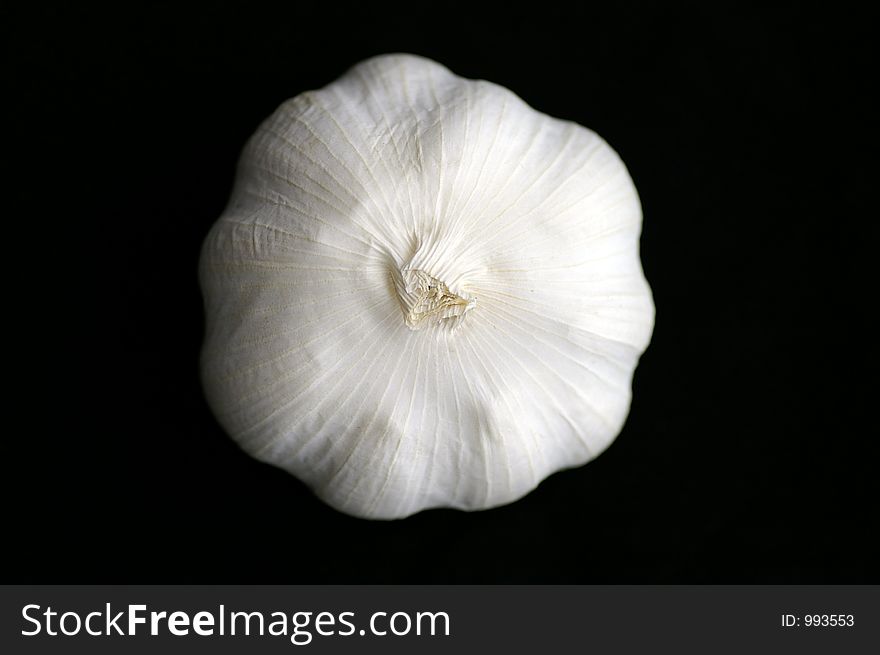 Closeup of the top of a garlic bulb against a black background. Closeup of the top of a garlic bulb against a black background