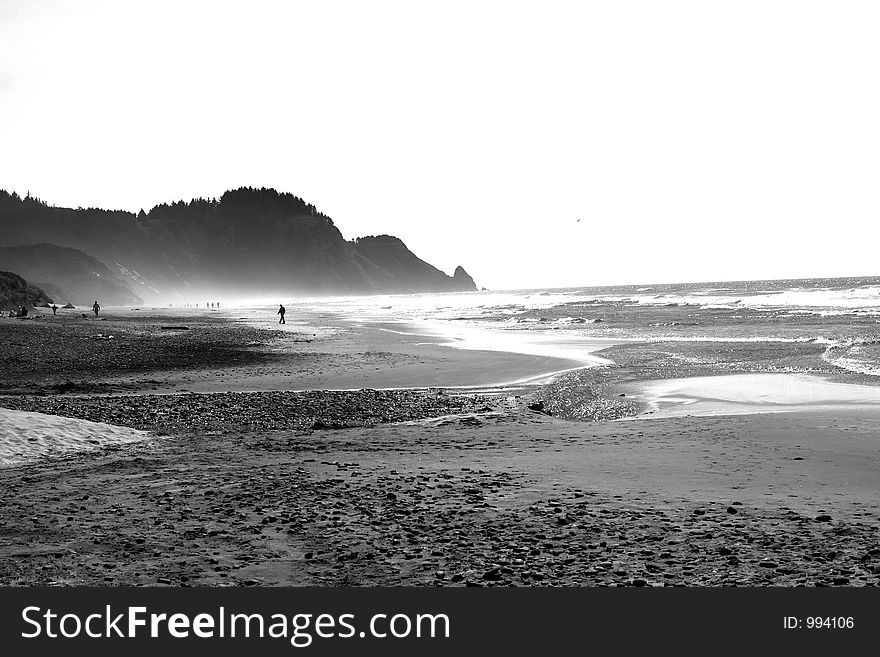 Pacific ocean in oregon with the wind blowing. Pacific ocean in oregon with the wind blowing