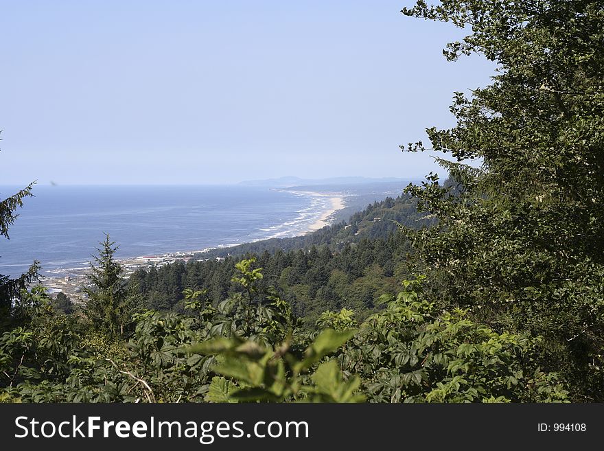 Image of the pacific coast in Oregon