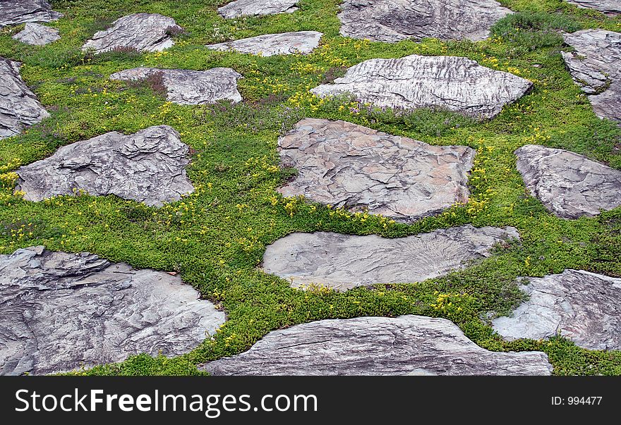 Green moss between grey stepping stones.