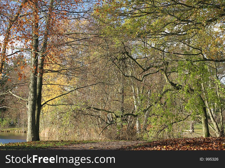 Autumn in the countryside  in denmark. Autumn in the countryside  in denmark