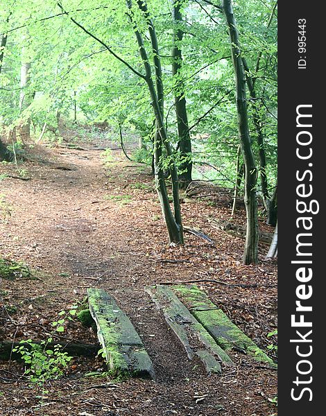 Path with old wooden bridge in the forest of rudeskov in denmark. Path with old wooden bridge in the forest of rudeskov in denmark