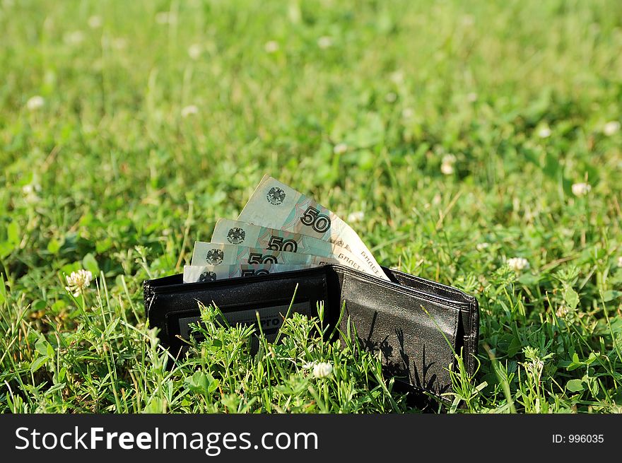 Wallet With Cash At Grass