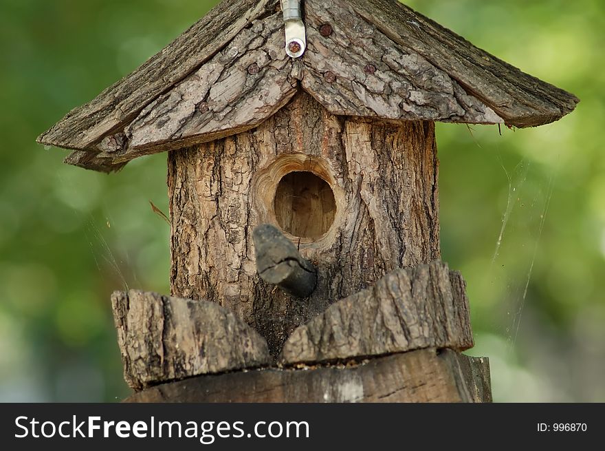 Birdhouse close up