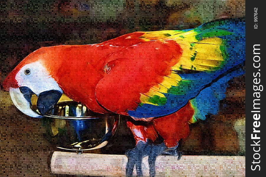 Scarlet Macaw Painting from My Photo Can Be Used for Note Cards, Desktop Wallpaper, etc.