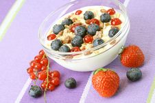 Jogurt And Fresh Fruits Stock Image Jogurt And Fresh Fruits Stock Image