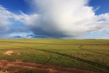 Grassland Stock Image Grassland Stock Image