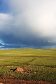 Grassland Royalty Free Stock Image Grassland Royalty Free Stock Image