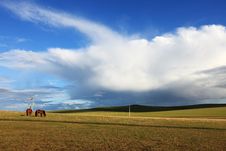 Grassland Stock Photo Grassland Stock Photo