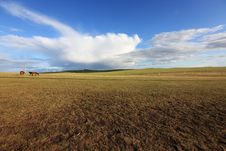 Grassland Royalty Free Stock Photography Grassland Royalty Free Stock Photography