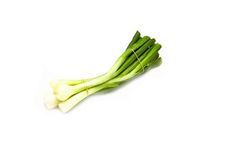 Bunch Of Spring Onion Stock Image Bunch Of Spring Onion Stock Image
