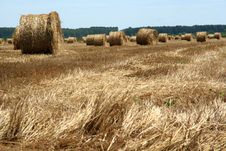 Hay Bales In The Field Royalty Free Stock Images Hay Bales In The Field Royalty Free Stock Images