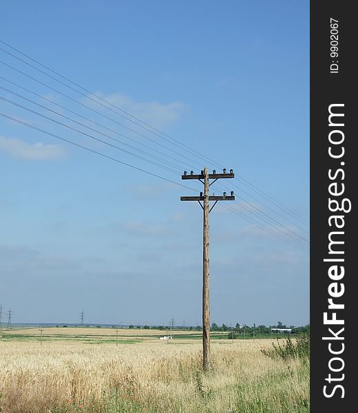 A lonely telegraph pole stands on the land and the blue sky is its only background