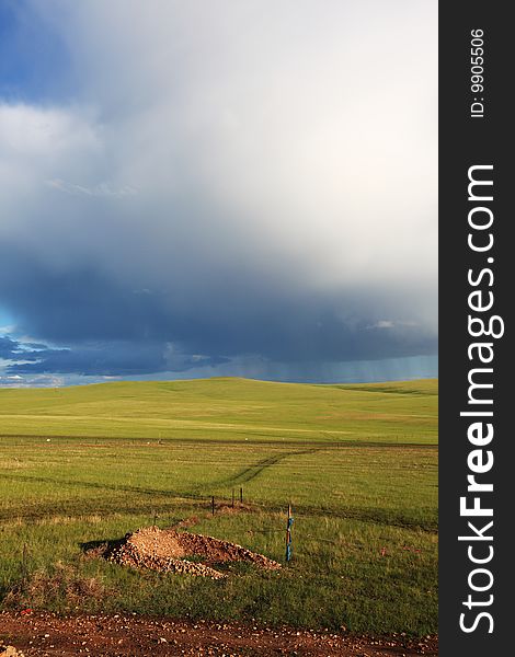 Grassland in neimenggu province of china