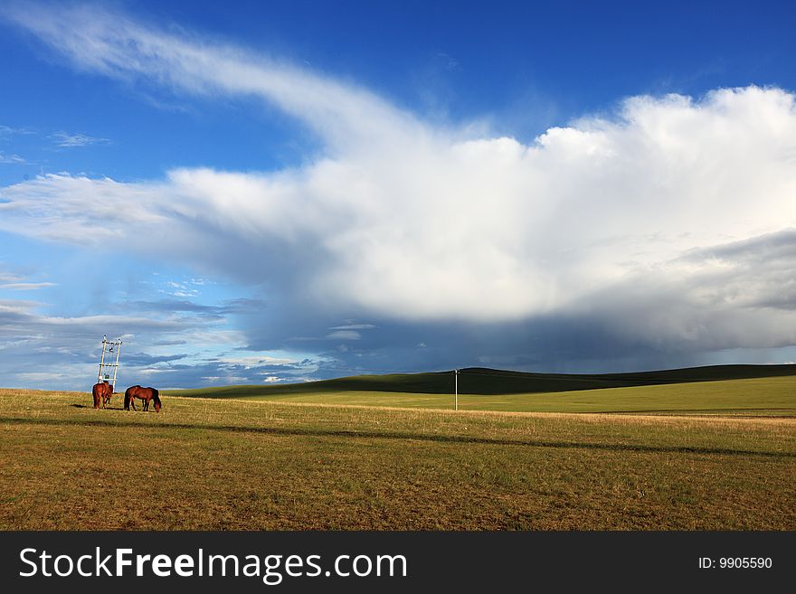 Grassland in neimenggu province of china