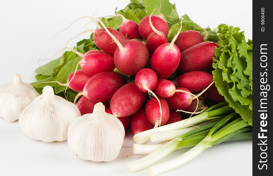 Spring onions, garlic, lettuce and radish bunch on the white background