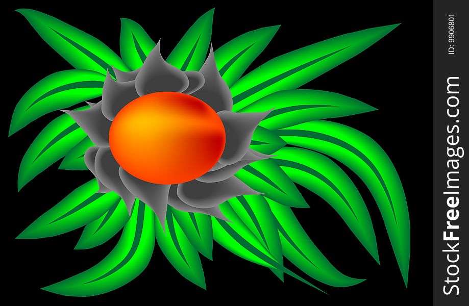 Abstract tropical fruit, vector illustration