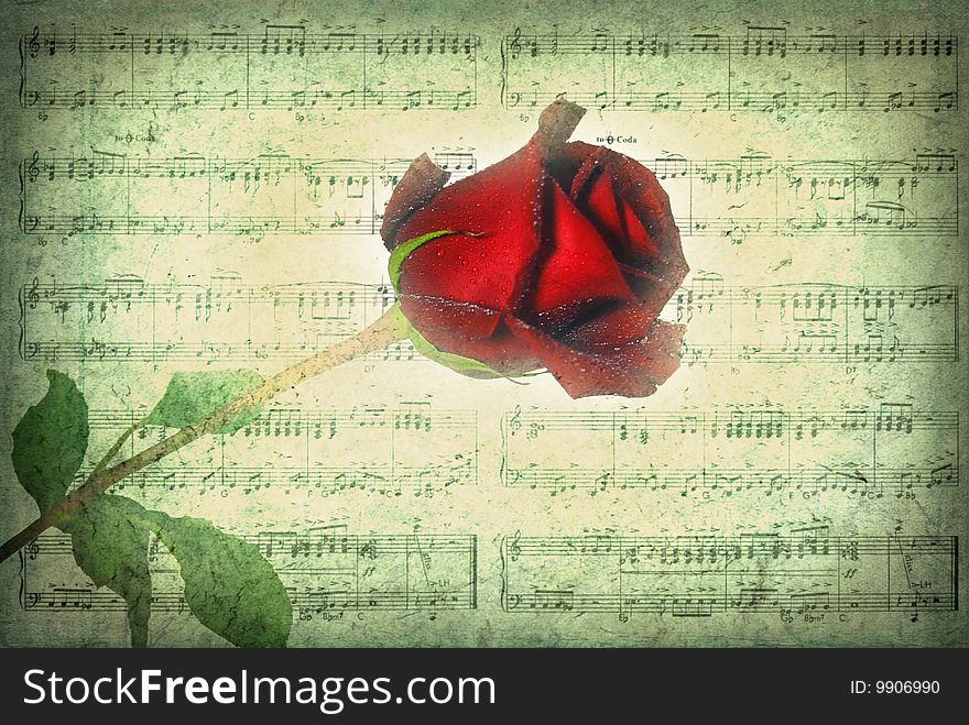 Long stem rose on sheet music in vintage texture. Long stem rose on sheet music in vintage texture.