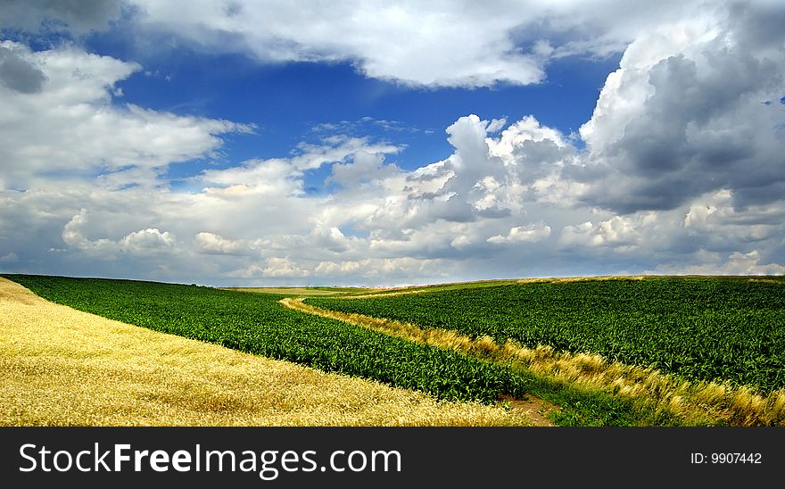 Beautiful landscape with blue sky and green grass