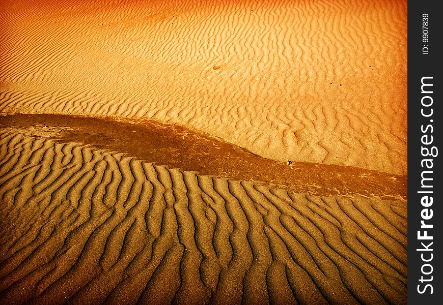 Beautiful landscape in the Sahara desert