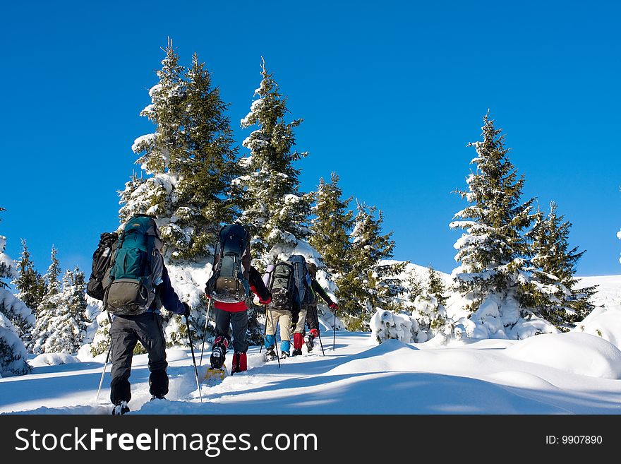 Hikers are in winter in mountains
