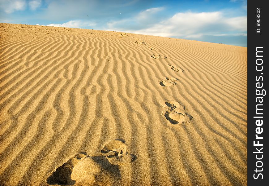 Beautiful landscape and the Sahara