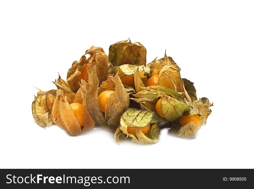 Physalis isolated on the white