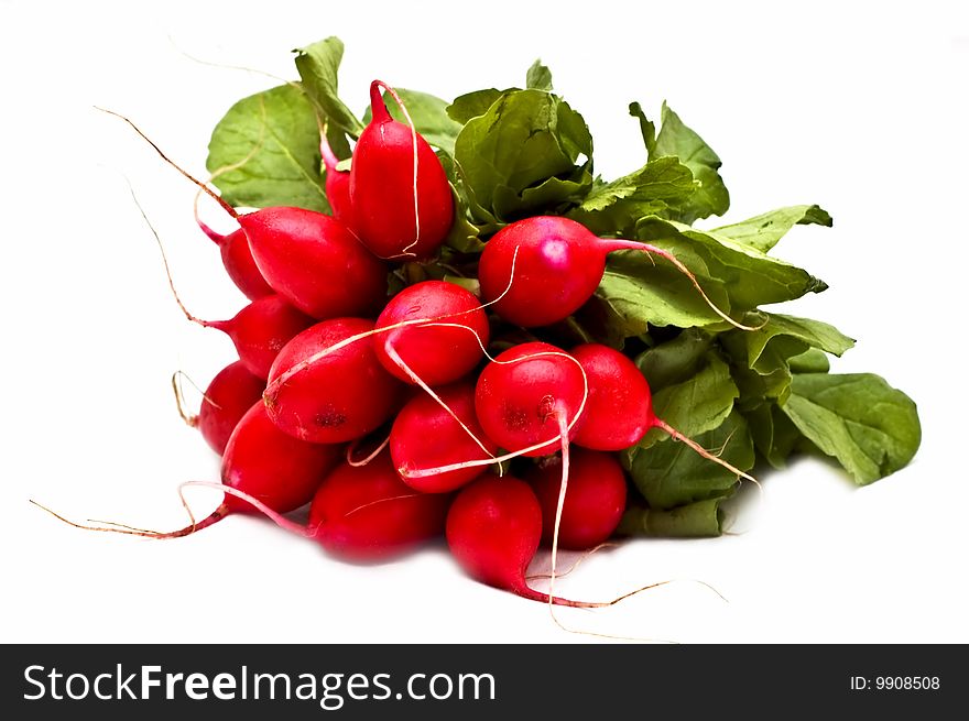 Bunch of fresh radish