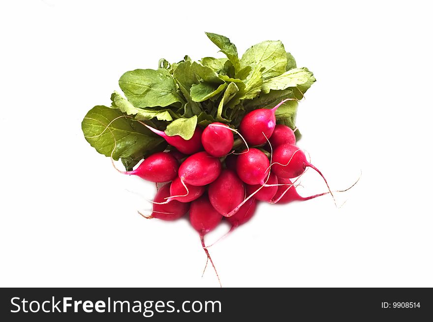 Bunch of fresh radish on white