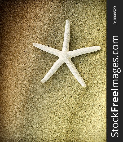 Starfish on a sand beach closeup