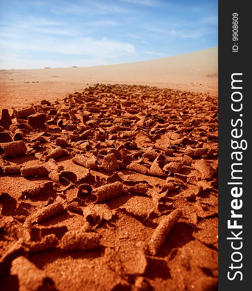 Parched earth in desert,close up