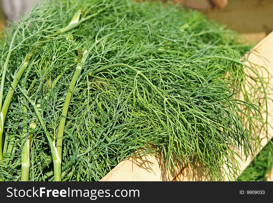 A fresh new green dill crop in a wooden garden box, blur background, shallow depth. A fresh new green dill crop in a wooden garden box, blur background, shallow depth