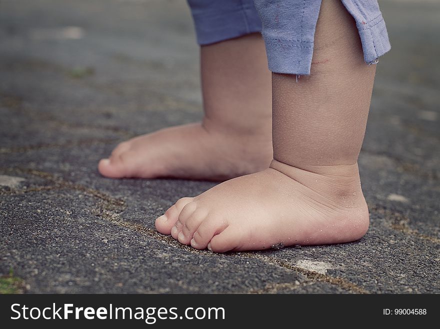Leg, Foot, Barefoot, Human Leg