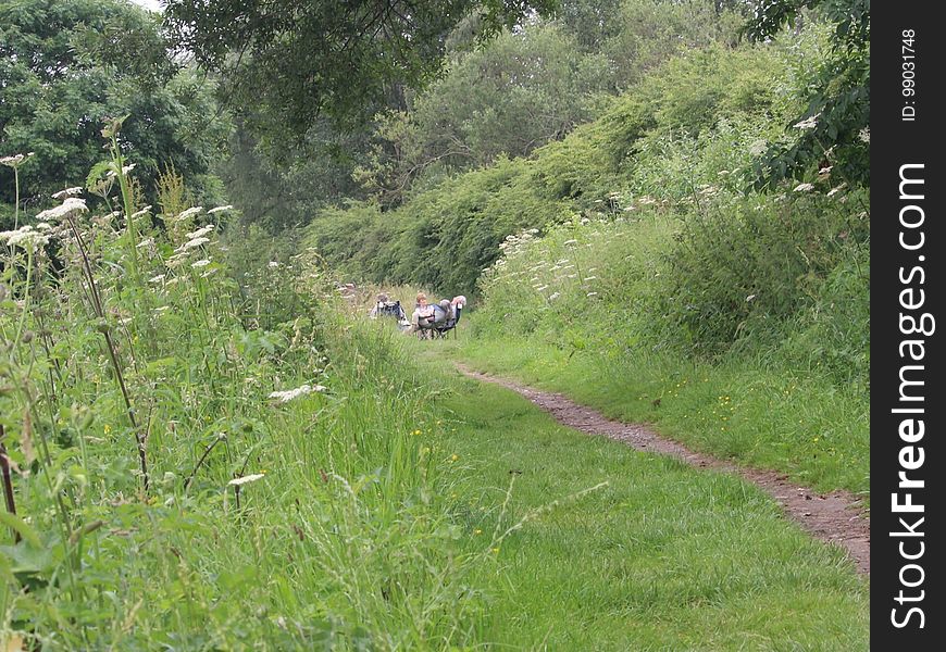 Wildlife Friendly Towpath.