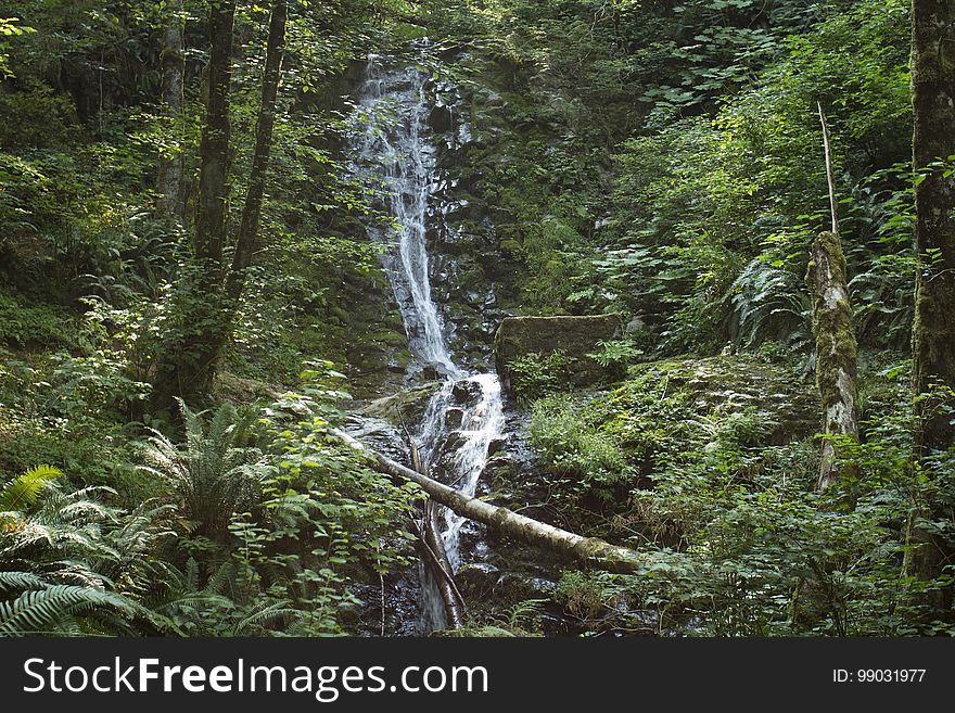 Bridge Creek Falls, Oregon