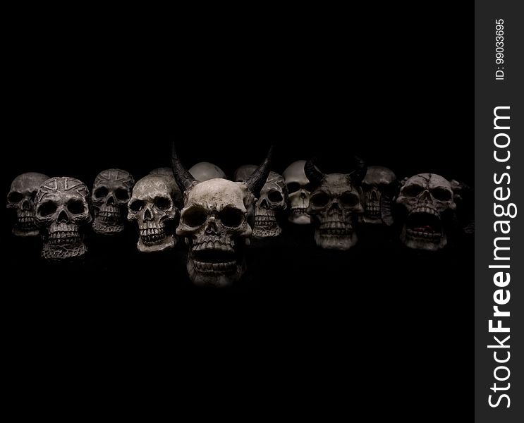 Bone, Black And White, Skull, Darkness