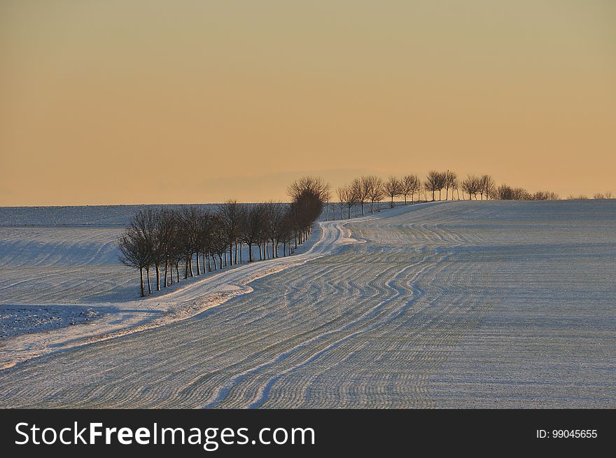 Snow, Winter, Sky, Freezing