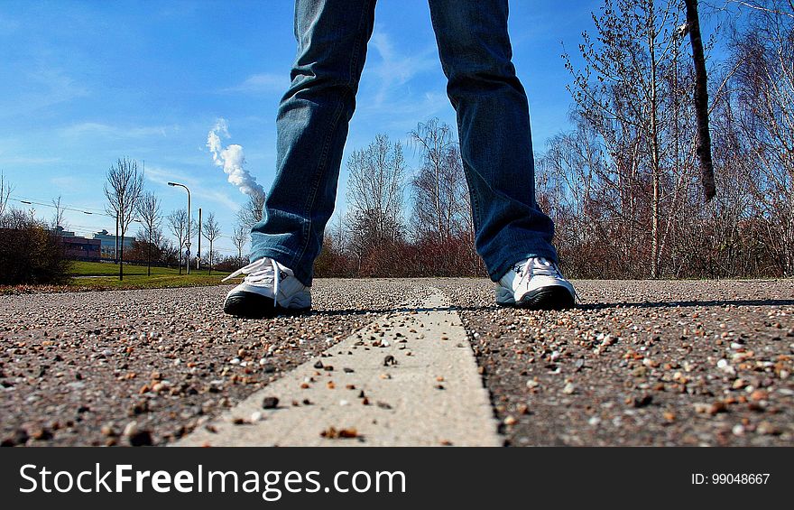 Footwear, Shoe, Sky, Tree