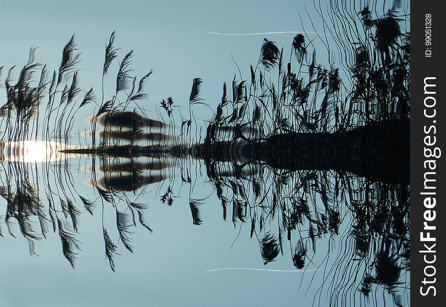 Reflection, Water, Tree, Sky