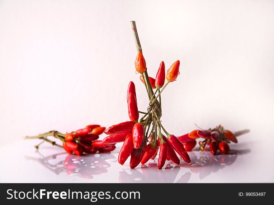 Chili Pepper, Bell Peppers And Chili Peppers, Flower, Bird's Eye Chili